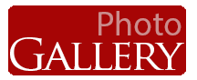 Photo Gallery